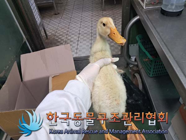 한국동물구조관리협회_411306202400614